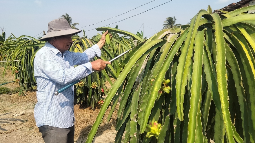 Mini app "Long An số" mở thêm đầu ra cho nông sản địa phương