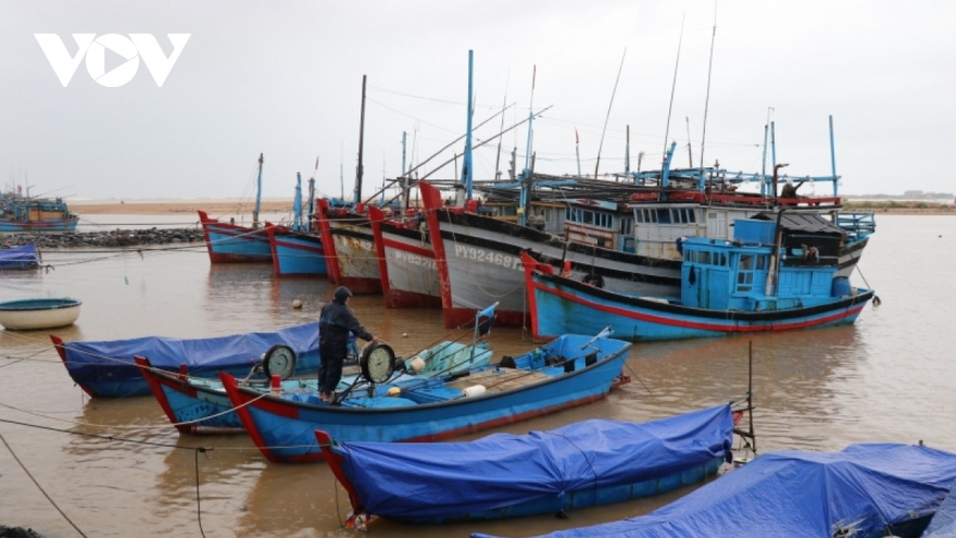 Cảnh báo vùng áp thấp và mưa dông, lốc xoáy, gió giật mạnh trên biển