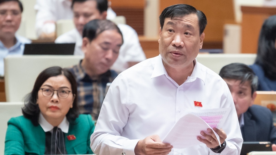 ĐBQH: "Doanh nghiệp chơi vơi giữa dòng giá, làm thì lỗ, không làm thì phá sản"