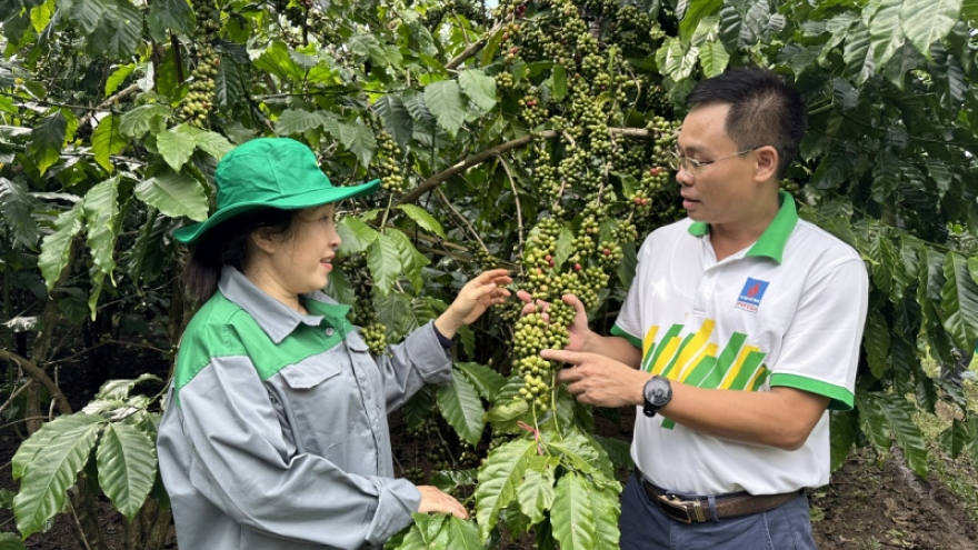 “Cho mùa bội thu” nhờ sử dụng phân bón hợp lý