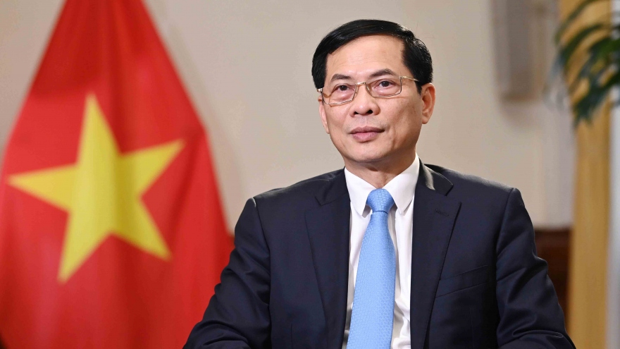 Bộ trưởng Bùi Thanh Sơn: Xây dựng ngành Ngoại giao trong sạch, vững mạnh toàn diện