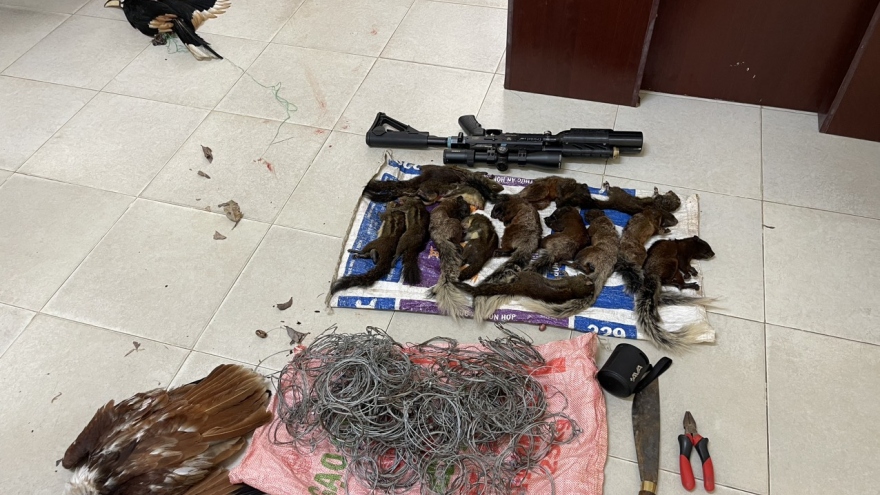 Bắt giữ nhóm người săn, bắt động vật rừng nguy cấp, quý hiếm