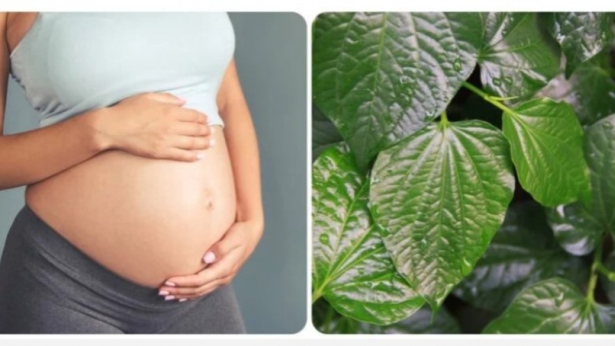 Bà bầu ăn có nên ăn lá lốt?