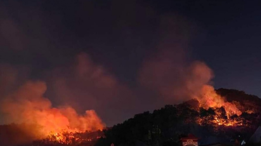 Hải Phòng kịp thời khống chế đám cháy rừng trong đêm