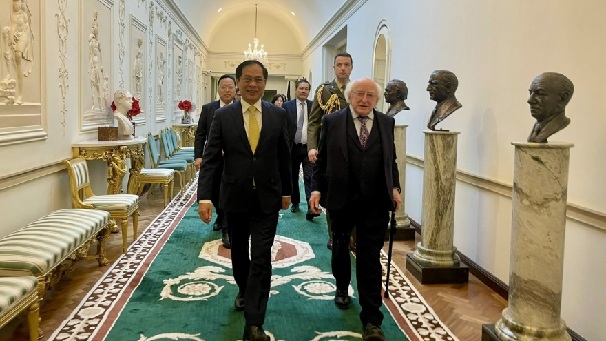 Bộ trưởng Ngoại giao Bùi Thanh Sơn hội kiến Tổng thống Ireland