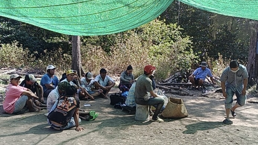 Bắt quả tang 2 vụ đá gà ăn tiền tại Cà Mau