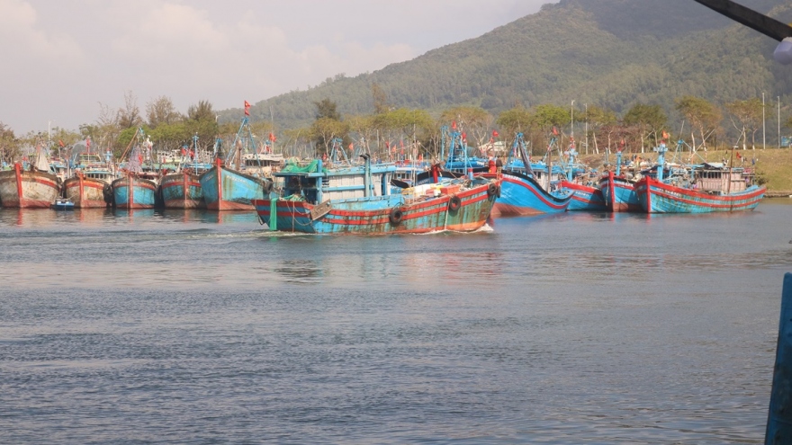 Rộn ràng mùa biển mới