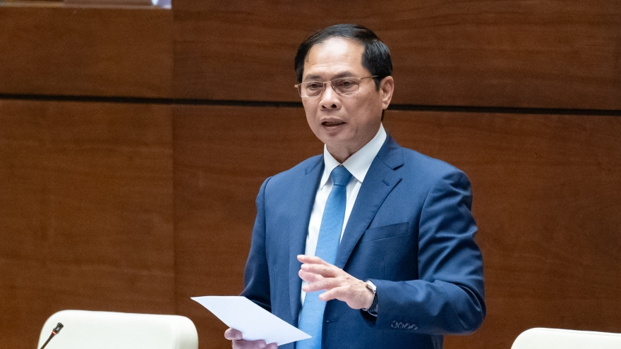 Bộ trưởng Ngoại giao: "Sự việc chuyến bay giải cứu là rất đau xót"