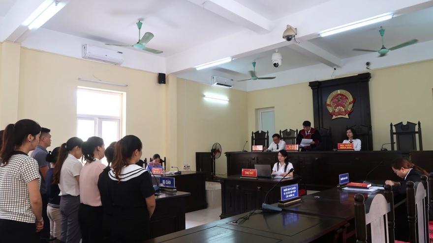 Mua chứng chỉ giả, 10 đối tượng ở Bắc Kạn lĩnh án