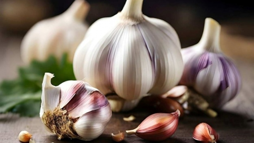 Ăn một tép tỏi mỗi tối sẽ đem lại những lợi ích sức khỏe đáng kinh ngạc