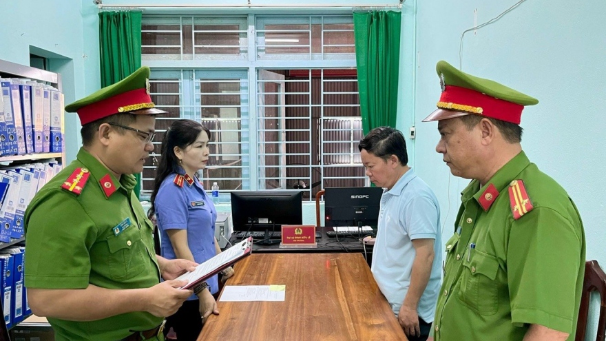 Khởi tố, bắt tạm giam đối tượng huỷ hoại rừng để làm đường dây điện 110KV