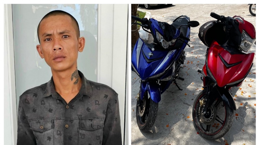 Tạm giữ hình sự tên trộm và người tiêu thụ tài sản trộm cắp