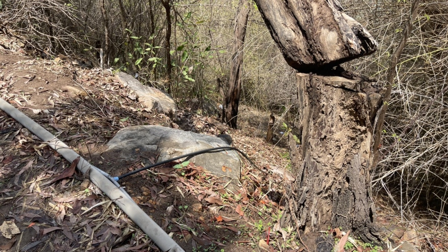 Vụ thi thể cô gái trong vali ở Bà Rịa-Vũng Tàu: Khởi tố 2 đối tượng