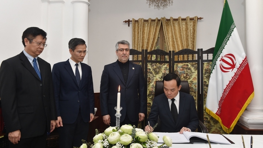 Phó Thủ tướng Trần Lưu Quang ghi sổ tang chia buồn vụ tai nạn máy bay tại Iran