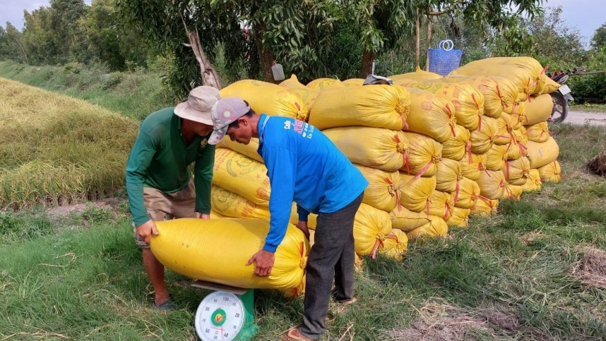Thương lái đóng vai trò nhất định trong chuỗi sản xuất nông nghiệp ĐBSCL