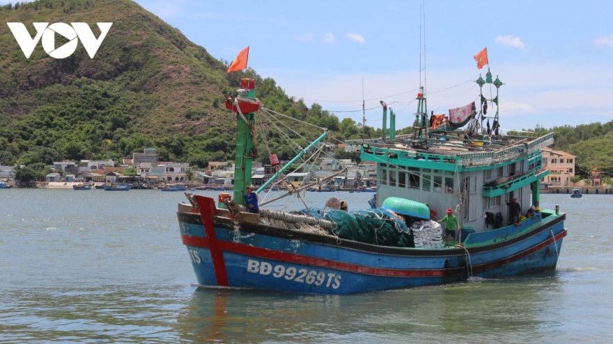 Xử lý nghiêm, triệt để các vi phạm quy định về giám sát hành trình tàu cá VMS