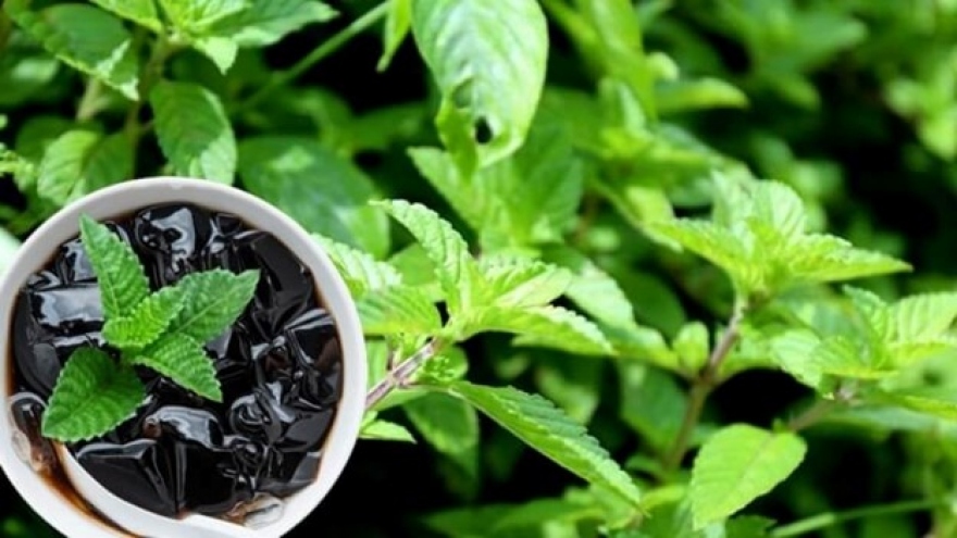 Loại thảo mộc lạ mà quen, đem phơi khô lại thành "nữ hoàng giải nhiệt" mùa hè