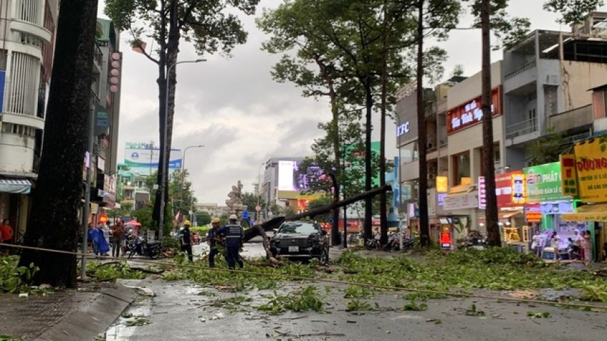 Cây xanh đổ trúng xe ô tô trong cơn mưa dông tại TP.HCM, nhiều người thoát nạn