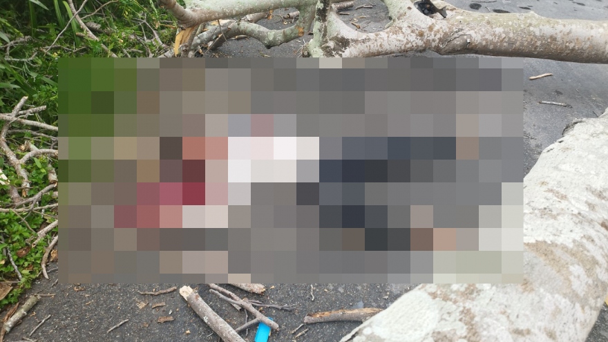 Phượng đổ đè trúng người, phải nhập viện