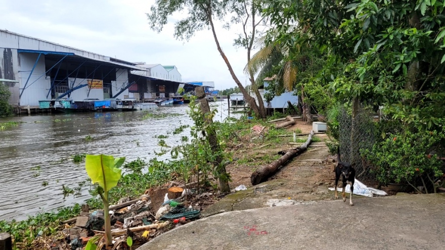 Tiền Giang khẩn trương khắc phục sạt lở cấp bách từ vốn hỗ trợ của Chính phủ