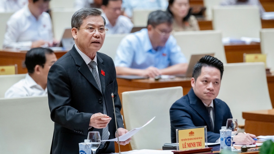 ĐBQH tiếp tục chất vấn vụ gỗ trắc, Viện trưởng Lê Minh Trí nói "rất trăn trở"