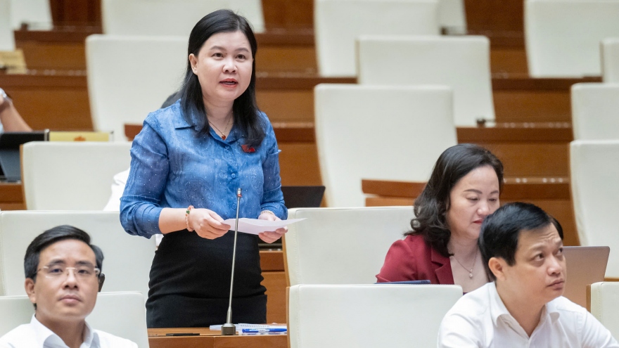 Đại biểu Quốc hội chất vấn: Vì sao sửa nhiều luật và nhiều nơi cứ muốn đặc thù?