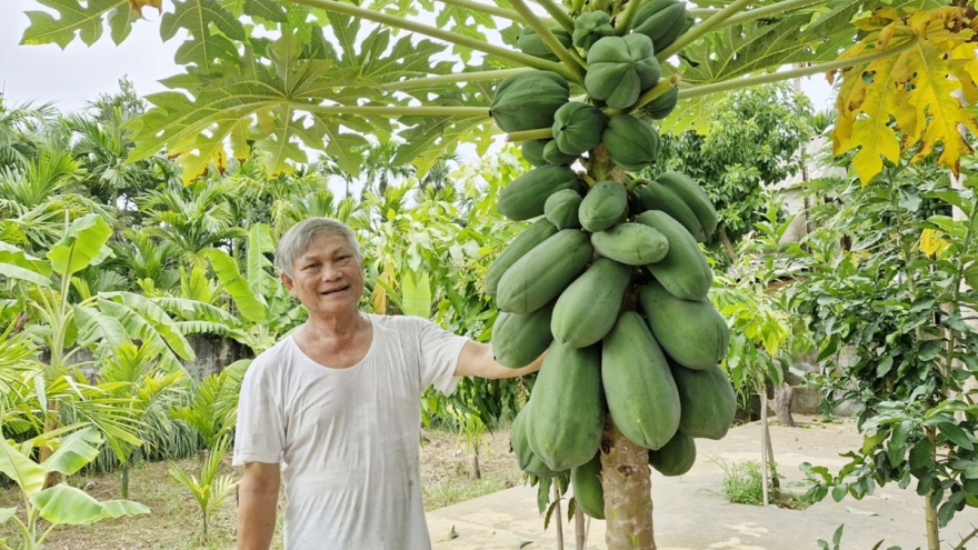 Xây dựng vườn mẫu, bước tiến trong xây dựng nông thôn mới tại Quảng Nam