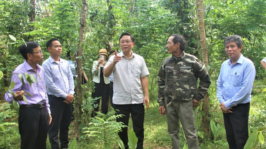 Mặt trận các cấp ở Quảng Nam chủ trì hơn 1.690 mô hình xây dựng nông thôn mới