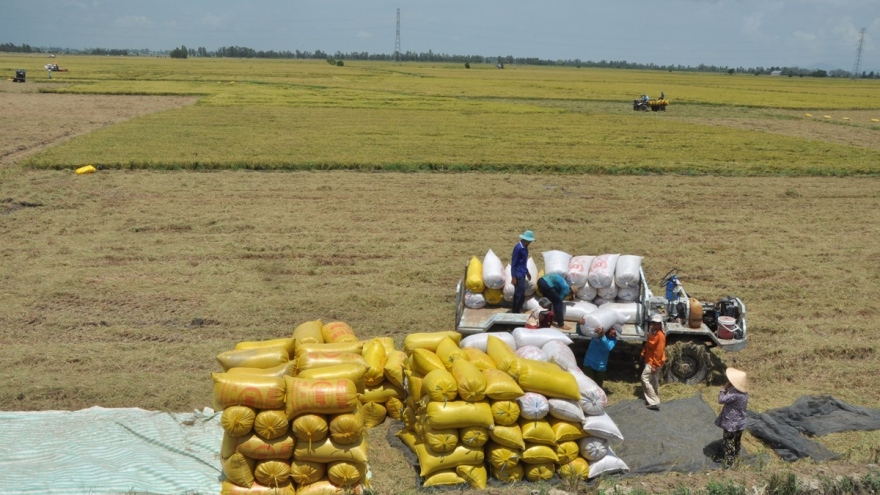 Vì sao doanh nghiệp chưa mặn mà khi đầu tư vào vùng ĐBSCL?