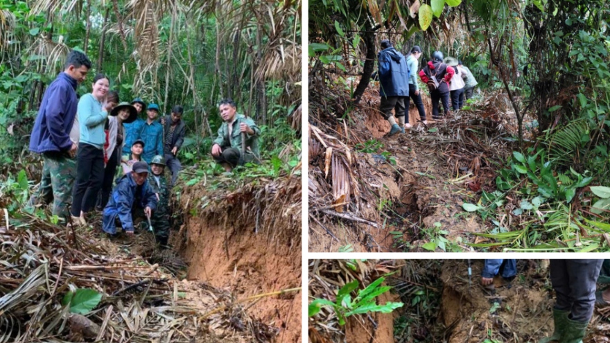 Sơ tán khẩn cấp cả thôn vì xuất hiện vết nứt dài trên đồi ở Quảng Nam