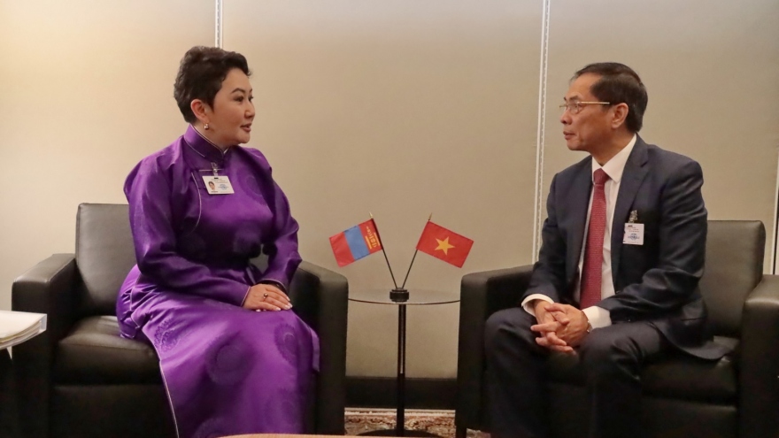 Mông Cổ mong muốn tăng cường hợp tác với Việt Nam trên nhiều lĩnh vực