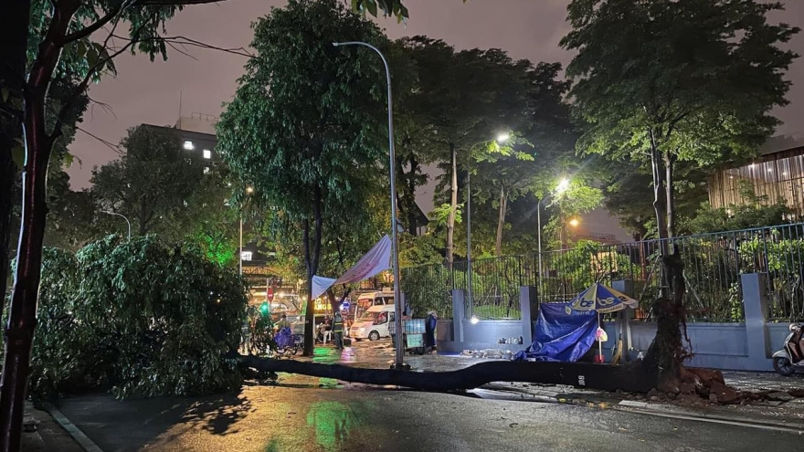 TP.HCM mưa lớn, cây xanh bật gốc đổ đè 4 người đi đường