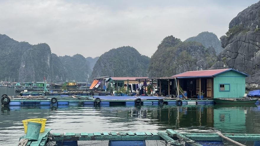 Hải Phòng hỗ trợ người dân phục hồi nuôi trồng thuỷ sản sau bão số 3