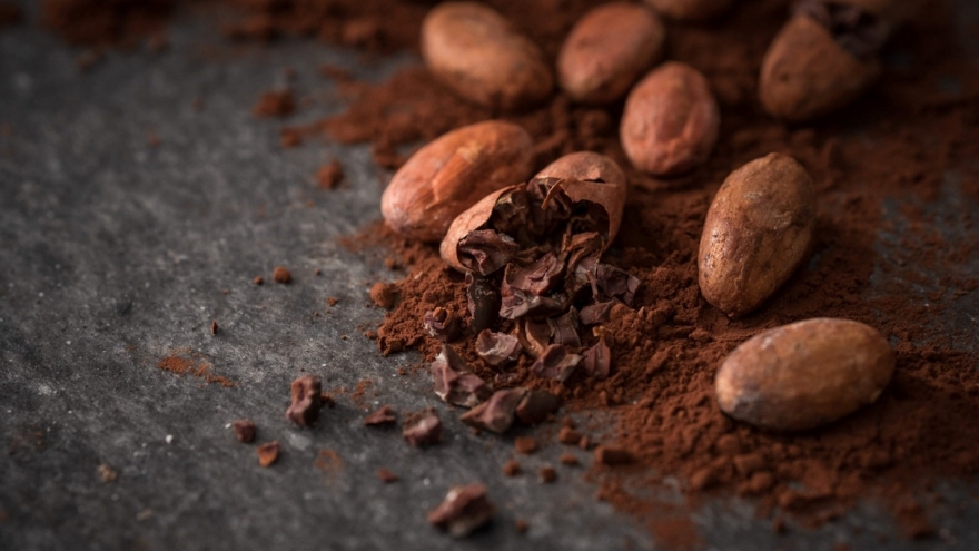 Việt Nam có loại hạt lọt top ngon nhất thế giới, vừa bổ dưỡng vừa ngừa ung thư