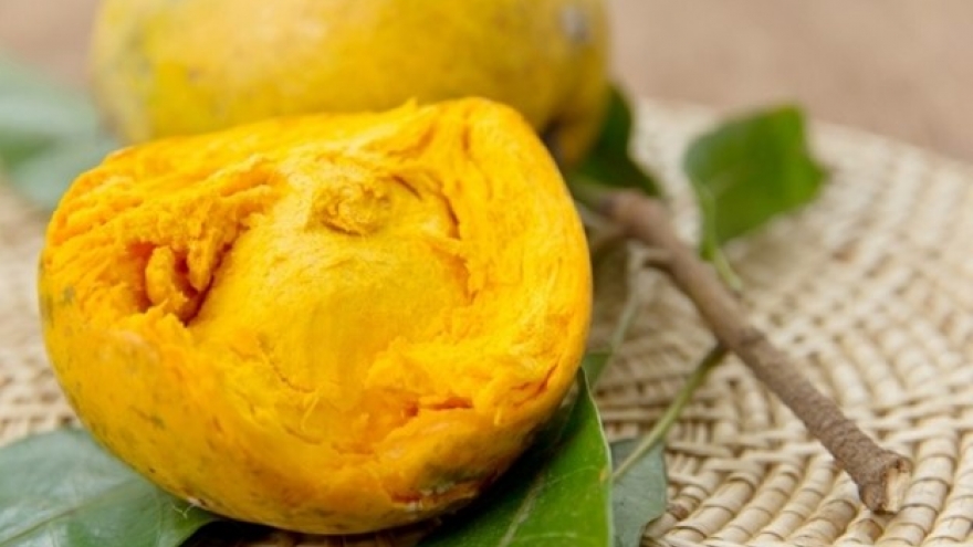 Loại quả Việt "siêu dinh dưỡng", bơm máu cực hiệu quả nhưng đang bị lãng quên