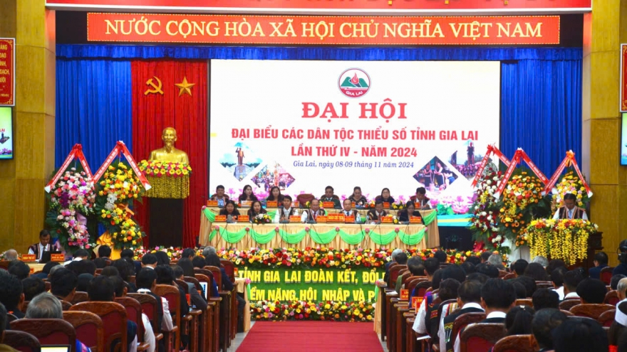 Ông Đỗ Văn Chiến dự Đại hội đại biểu các dân tộc thiểu số tỉnh Gia Lai