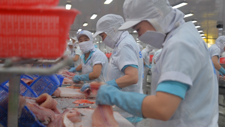 Nhiều hoạt động tại ngày hội cá tra Đồng Tháp