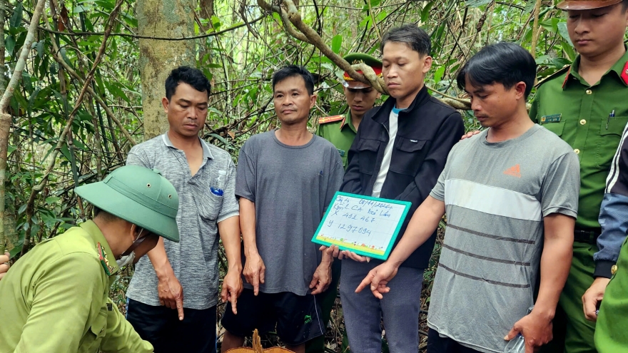 Nhân viên công ty lâm nghiệp cấu kết “lâm tặc” phá rừng