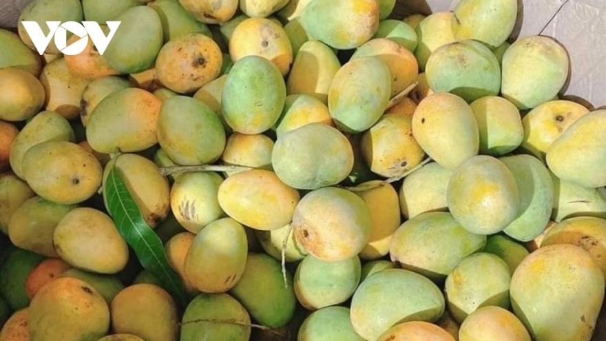 Sơn La xây dựng thương hiệu nông sản địa phương