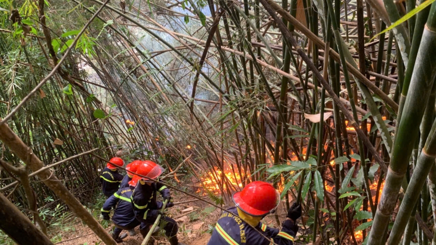 Kịp thời dập tắt đám cháy rừng tại Bắc Kạn
