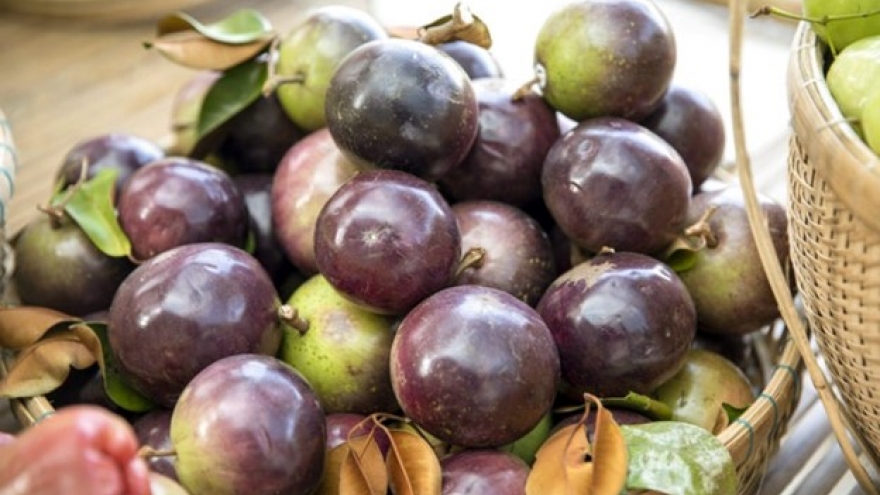 Loại quả "đại bổ" chỉ có Việt Nam xuất khẩu, nhiều người chưa biết vẫn tận dụng
