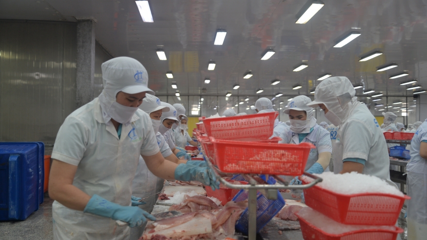 Xuất khẩu cá tra đạt hơn 1,5 tỷ USD trong hơn 9 tháng