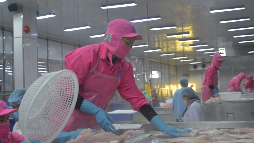 Sắp diễn ra Ngày hội Cá tra ở Đồng Tháp