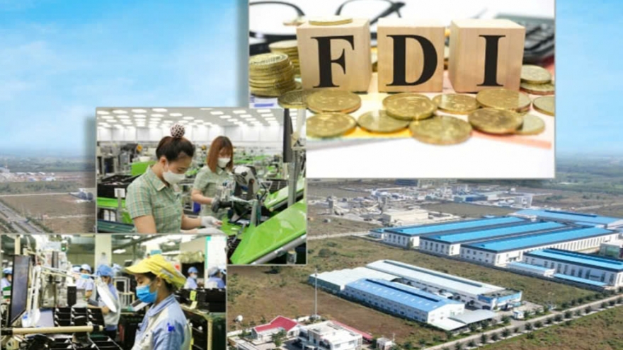 Việt Nam thu hút các “đại bàng công nghệ về làm tổ”