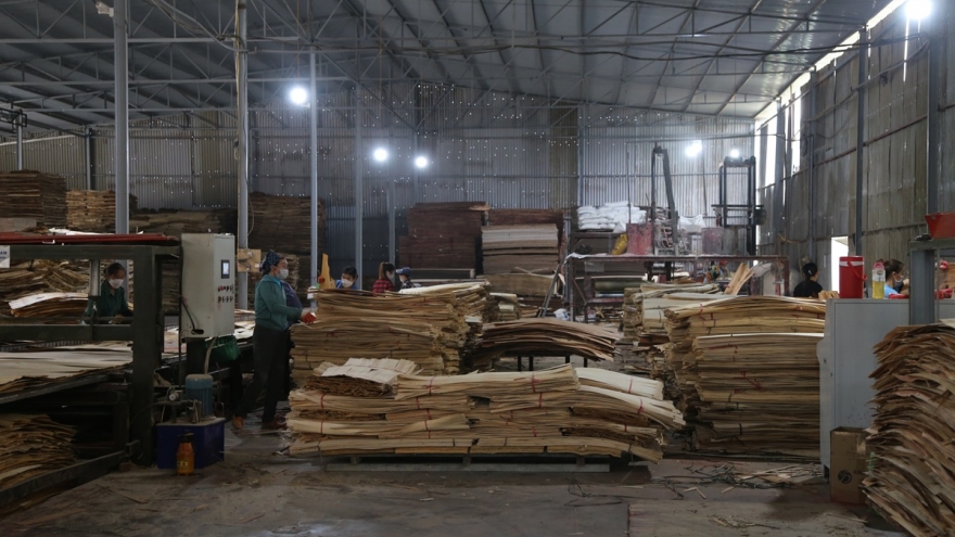 Ngành công nghiệp chế biến gỗ ở Bắc Kạn tăng trưởng khá nhưng vẫn thiếu bền vững