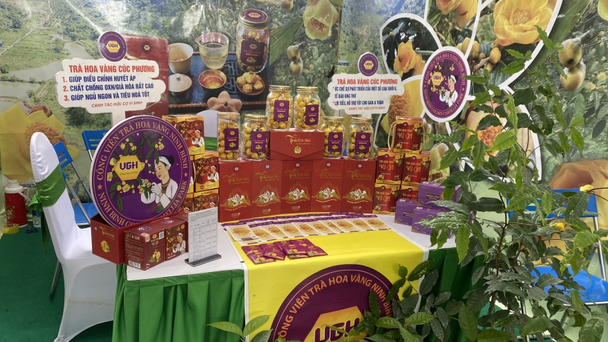 Khởi nghiệp sáng tạo đang được nhiều địa phương chú trọng phát triển