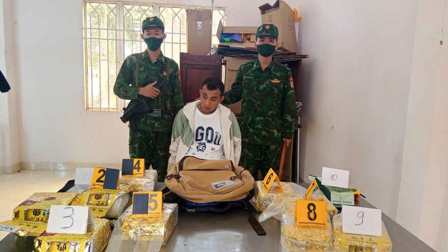 Triệt phá đường dây vận chuyển 10kg ma túy ngụy trang như túi trà