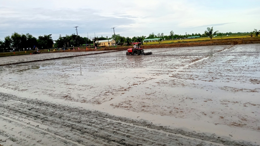 Hạn, xâm nhập mặn ở ĐBSCL ở mức cao, nhưng không gay gắt