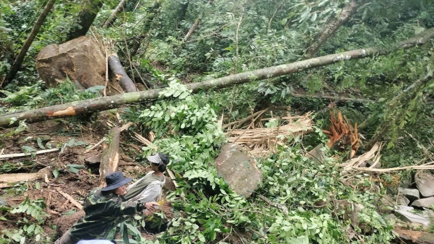 Quảng Nam bố trí chỗ ở tạm cho các hộ sau khi hàng chục tảng đá lăn xuống làng