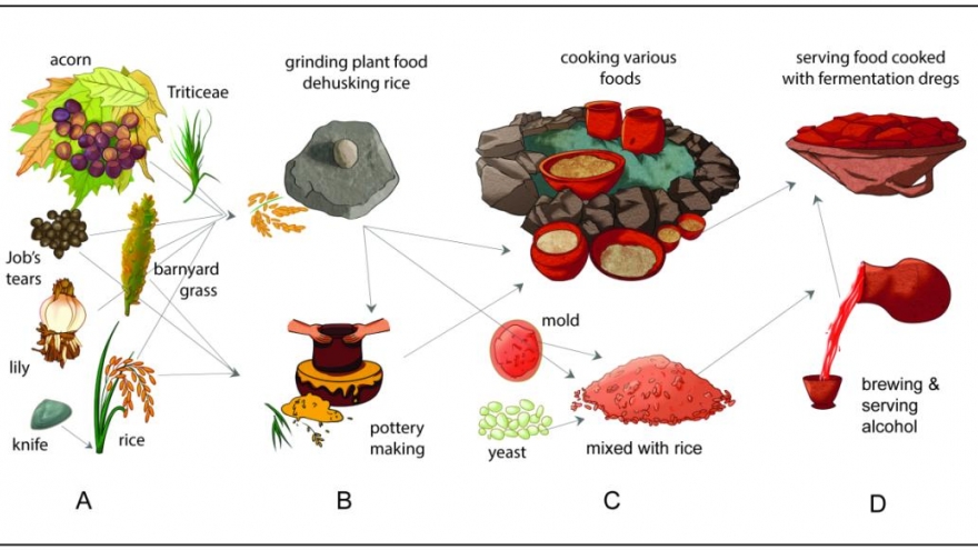 Trung Quốc tìm thấy bằng chứng về rượu gạo từ 10.000 năm trước